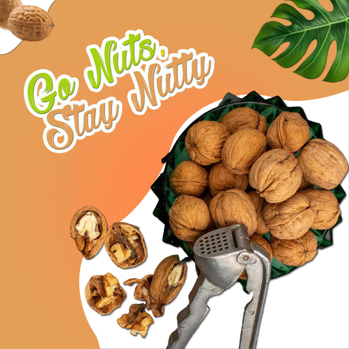 Yum Yum Inshell Walnuts Pouch